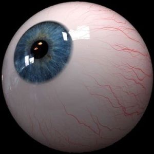 Meet your Posher, Jack